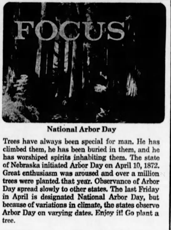 Trees have always been special